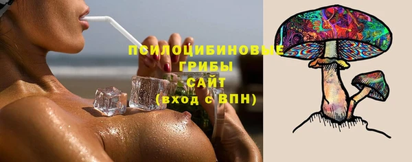 apvp Горнозаводск