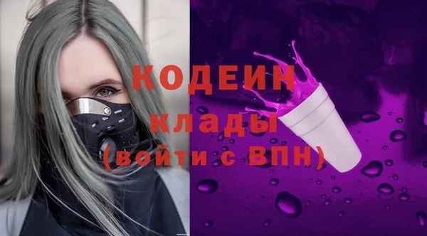 apvp Горнозаводск